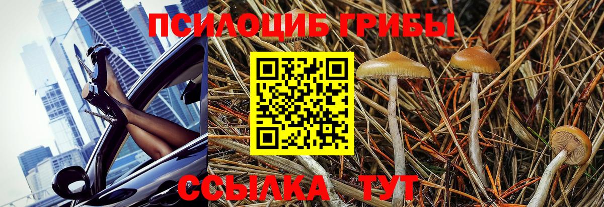 Галлюциногенные грибы ЛСД Лесной