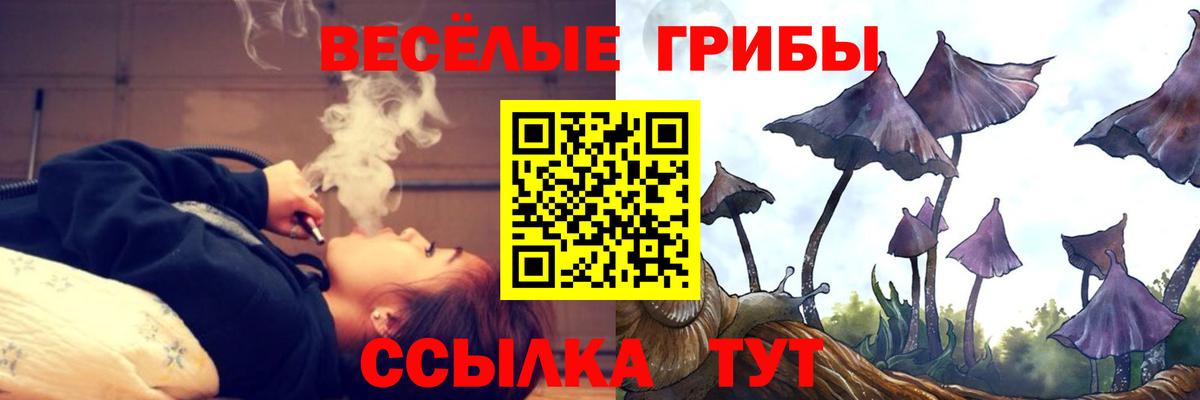 Лесной  где можно купить наркотик  Вход с VPN  Галлюциногенные грибы Psilocybe 