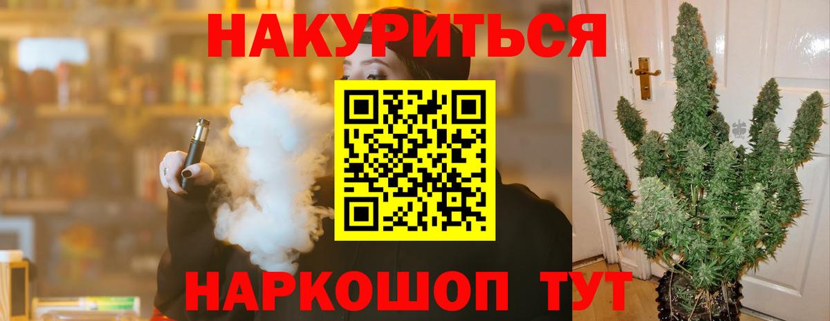 Каннабис планчик  Шишки марихуана семена  Вход с VPN  Лесной  Бошки Шишки индика 